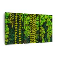 Musgo eterno, manualidades DIY, hierba, 20/40/100g, plantas verdes artificiales, decoración del hogar, habitación, jardín, mini país, hierba falsa - details 21