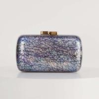 Bolso de Acrílico para Mujer 2025 Estilo Europeo Americano Nuevo Hombro Oblicuo Bolso de Acrílico - details 6