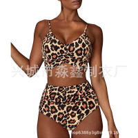 Bikini de dos piezas de cintura alta con estampado de leopardo, traje de baño sexy para mujer - details 23