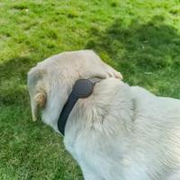 Para Apple Airtag rastreador protector impermeable mascota perro Anti-pérdida posicionamiento silicona PU Collar Anti-pérdida mascota gato perro Collar - details 4