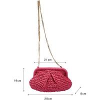 Bolso de Playa de Verano Hecho a Mano de Ratán Bolso Cruzado de Paja con Lata de Nube Dumpling - details 1