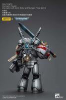 JOYTOY 40k 1/18 figuras de acción Anime 12cm caballeros grises Interceptor Strike Squad juguetes de modelos de colección - details 17