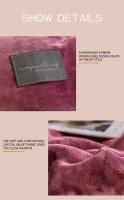 Funda de edredón gruesa de terciopelo de cristal, funda de edredón de felpa, funda de cama, individual, doble, Queen, King Size, sólido, cálido, invierno - details 2
