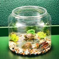 Macetero hidropónico, jarrón redondo transparente para pecera, tanque de tortuga de escritorio irrompible de plástico con cubierta, pecera dorada para el hogar - details 4