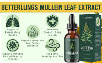 promotes lung health healthy airflow