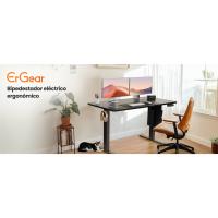 Escritorio de Altura Regulable