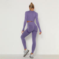 conjunto de yoga para mujer sin costuras ropa deportiva de gimnasio con manga larga sujetador de alto cinturón leggings de gimnasio traje deportivo - details 46