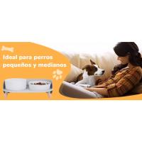 Tazón para mascotas