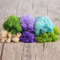 Plantas verdes artificiales de 10/50g, musgo eterno, manualidades DIY, césped, jardín, decoración del hogar, mini país, hierba, plantas falsas - details 3