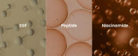 coxir INTENSIVE EGF PEPTIDES SERUM EGF (Factor de crecimiento epidérmico), péptido, niacinamida, colágeno reafirmante l Cuidado de la piel coreano (1,69 - details 2