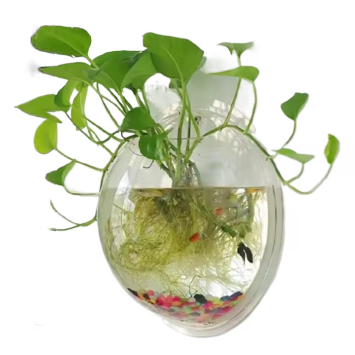 Pecera acrílica montada en la pared con forma de hemisferio, pecera transparente para colgar en la pared, decoración de oficina con tanque Betta colgante 3D - 1