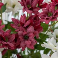 Elegante flor de jazmín Artificial, hermosa simulación de seda hecha a mano, jazmín, tacto Real, flor falsa, decoración de jardín - details 9