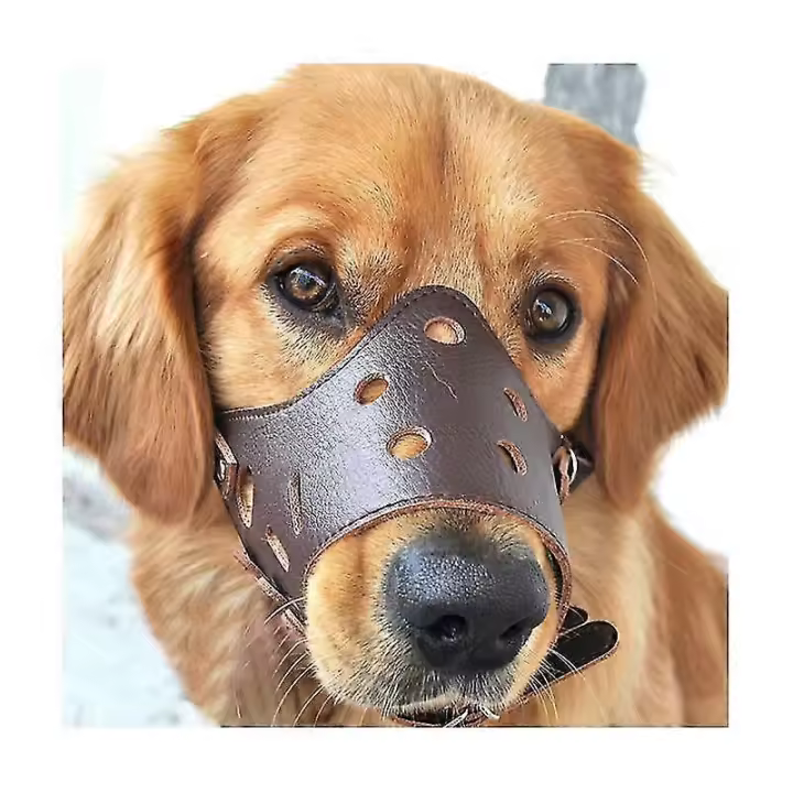 Bozal antiladridos de cuero para perros grandes, medianos y pequeños M - 1