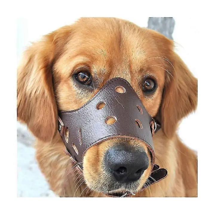 Bozal antiladridos de cuero para perros grandes, medianos y pequeños M - 1