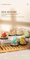 Modelo de bloque de construcción de ramo de rosas, bonsái eterno, cubierta de polvo, planta de micropartículas, adorno para adultos, juguete para niños, regalo - details 16