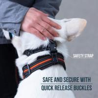 Bozales antiladridos para perros, herramienta de entrenamiento transpirable, juego de bozales de nailon con tiras reflectantes, correas para mascotas de verano - details 2
