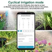 Temporizador inteligente de jardín, válvula de agua de riego por goteo, retardo de lluvia, controlador programable, 2 salidas, WiFi - details 3