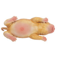 Muñeca de Perro Renacida de Silicona IVITA Figura de Colección Realista con Ojos - details 7