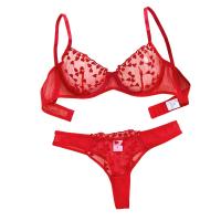 Conjunto de sujetador sexy ligero bordado perspectiva malla sexy conjunto sexual - details 0
