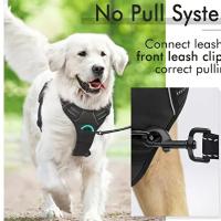 Arnés sin tirantes para perro, chaleco acolchado suave y ajustable para mascotas, color negro, 2 Clips de correa - details 1