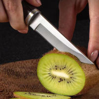 Cuchillo De Carne Mongol Acero Inoxidable Cuchillo De Fruta Para Cocina Cebolla Afilado Hoja Cuchillo De Res Roasted Whole Lamb Steak Knife - details 4