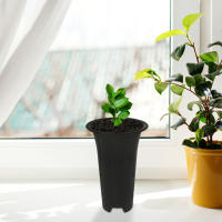 ETA de plástico alto para orquídeas, ETero doméstico con orificios laterales, 6 piezas. - details 0