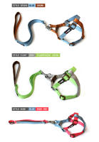 Correa para mascota, collar de correa, cadena para perro, correa de pecho a juego de colores - details 8