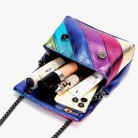 Moda Nuevo Arco Iris Color Empalme Bolsa Pájaro Cabeza Cadena Hombro Crossbody Señoras Bolsa - details 7