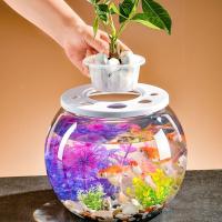 Recinto para tortugas, pecera transparente pequeña, terrario de tortuga de plástico inastillable con tapa, tanque de peces dorados, decoración del hogar - details 10