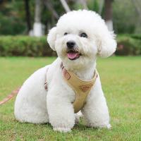 Conjunto de Correa de arnés para cachorros Correa de pecho transpirable para perros y gatos - details 21