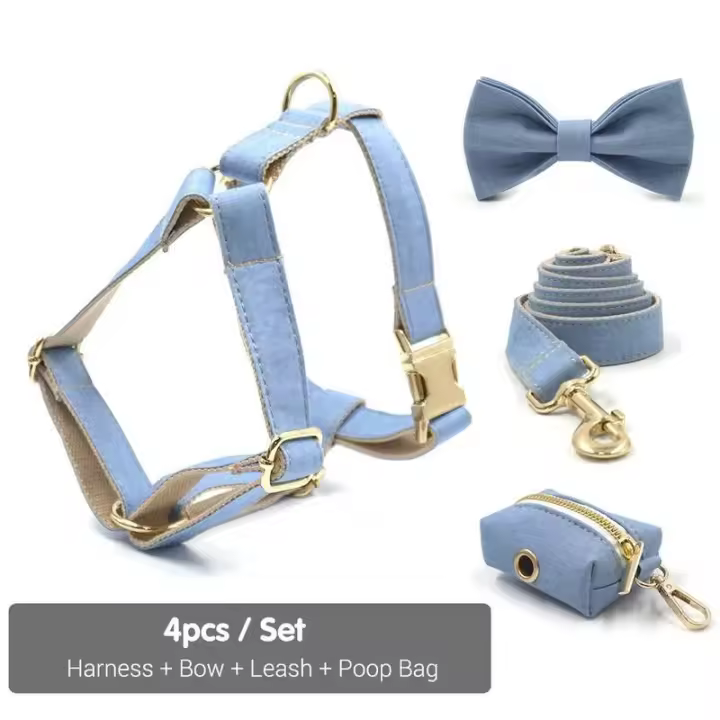 Perro Vaquero Azul Claro con nombre, Correa de collar personalizada Perros Pequeños, medianos y grandes, par, ARN - 1