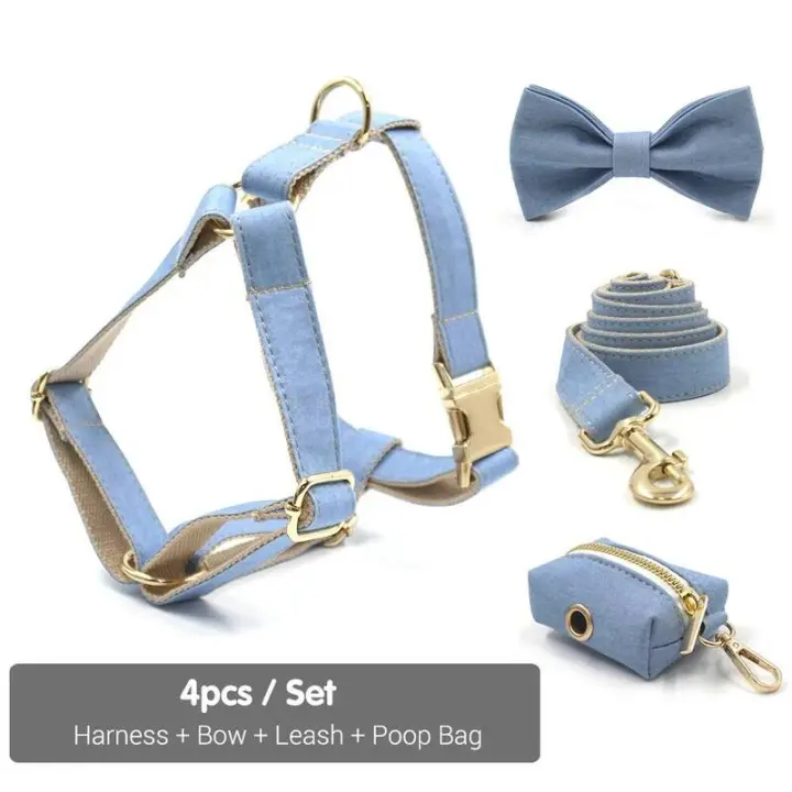 Perro Vaquero Azul Claro con nombre, Correa de collar personalizada Perros Pequeños, medianos y grandes, par, ARN - 1