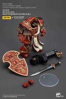 JOYTOY 40k 1/18 Figuras de acción Anime 13,6 cm Blood Angels Crimson Paladins Squad - details 4