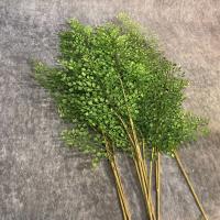 Ramas de plantas de helecho artificiales realistas, hechas a mano, tacto Real, vegetación Artificial, hierba de helecho, plantas falsas elegantes - details 3