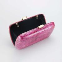 Bolso de Acrílico para Mujer 2025 Estilo Europeo Americano Nuevo Hombro Oblicuo Bolso de Acrílico - details 12