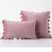 Bonenjoy 1 funda de cojín con borlas, funda de almohada de terciopelo, fundas de almohada de color sólido para decoración de sofá/cama/coche, 30x50/45x45/50x50 - details 15