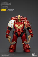 JOYTOY Figura de Acción Horus Heresy Legión de Mil Hijos del Tacticante MK IV - details 41
