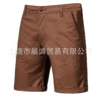 Verano nuevos hombres casuales recta cinco pantalones cortos de trabajo masculino - details 11