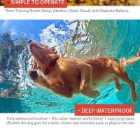 Collar de entrenamiento electrónico para perros, collar de choque impermeable recargable, entrenador de perros con control remoto para perros pequeños y medianos - details 8