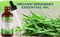 Rosemary Essential Oil, Pure Rosemary Oil for Hair Growth