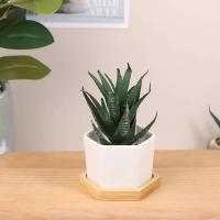 Bandeja de cerámica hexagonal blanca simple europea ETA, contenedor de plantas jugosas, bonsai pequeño ETA - details 8