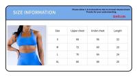 Conjunto de Yoga Sin Costuras Top con Sujetador Camisola Traje Deportivo de Cintura Alta - details 4
