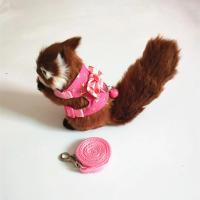 Correa para Mascotas Pequeñas Traje de arnés con lazo para Hamster, Conejo, Chinchilla, Rátamo - details 12