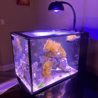Sistema de Iluminación de Acuario de Especies Marinas Noo-Psyche K7 Mini - details 5