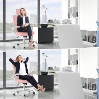 Soporte Lumbar, Silla de Escritorio de Respaldo con Reposacabezas y Altura Ajustables, Reposabrazos - details 3