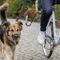 accesorios perros para bicis