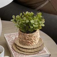Plantas Artificiales de Eucalipto Pila de Césped Tejida de 11cm Material PE Decoración del Hogar - details 23