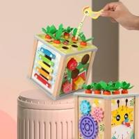 Wooden Activity Cubes