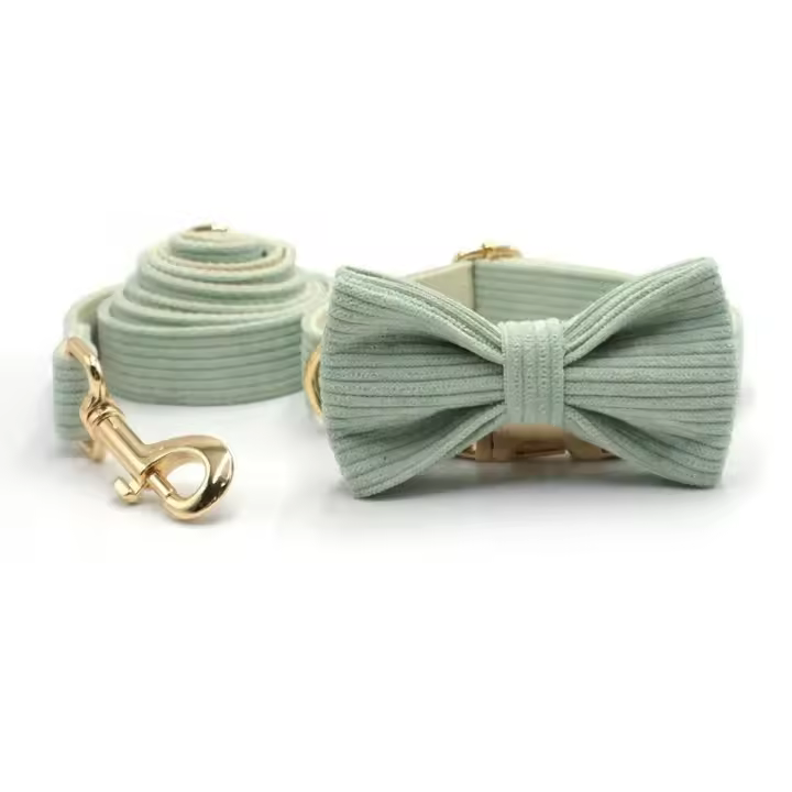 Collar Pana Verde Mint, personalizado, antipérdida, para Perros Pequeños, medianos y grandes, elegante, Conjunto de Correa - 1