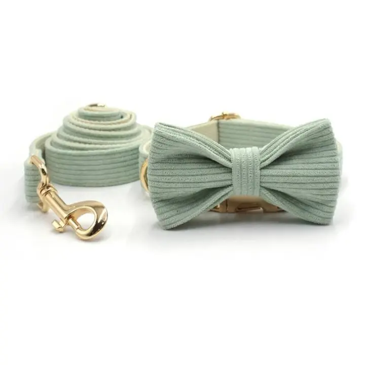 Collar Pana Verde Mint, personalizado, antipérdida, para Perros Pequeños, medianos y grandes, elegante, Conjunto de Correa - 1